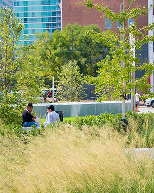 250 W Pratt Plantings - Joe Ignatius.jpg