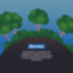 Carbon Sequestration Field Guides_Communications_Biochar 7 - MKSK MKSK