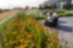 Clinton + Ries Landscape Architects
