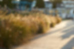 Campion Hruby Landscape Architects