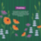 Carbon Sequestration Field Guides_Communications_Prairies 5 - MKSK MKSK