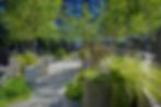CLINTON+REIS Landscape Architects
