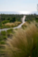 CHLA Landscape Architects