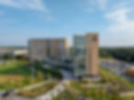 HCM